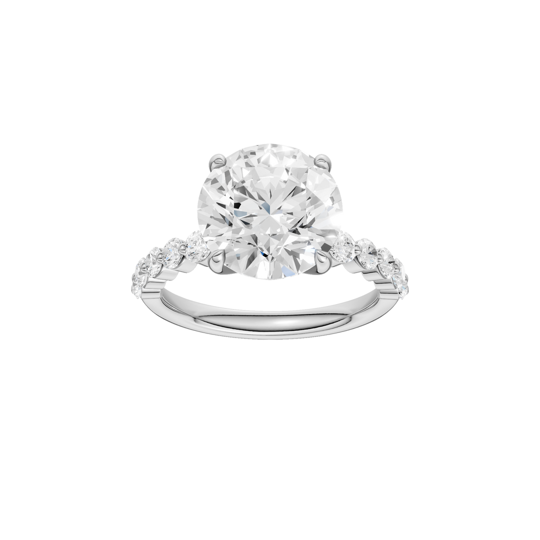 Classic Single Shared-Prong Engagement Ring (Round) in 14K White Gold – Silvadi Jewelry Aurora CO