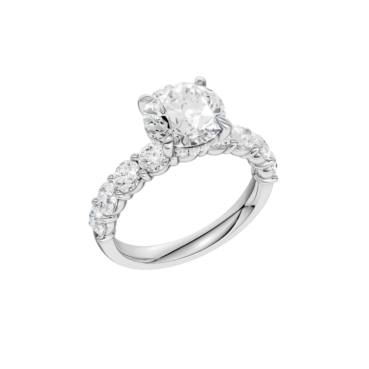 Semi Eternity Engagement Ring (Round) in 14K White Gold – Silvadi Jewelry Aurora CO